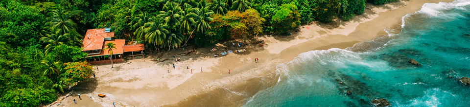 Une côte tropicale vue d'en haut, avec une plage de sable et des palmiers luxuriants.